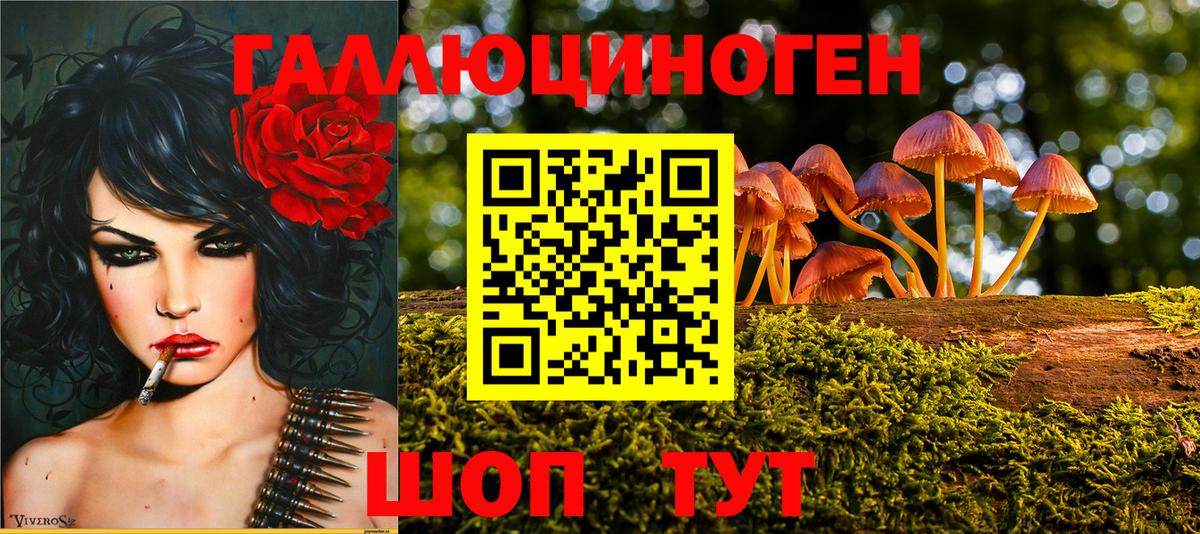Галлюциногенные грибы GOLDEN TEACHER  продажа наркотиков  Светлоград  Вход с VPN 