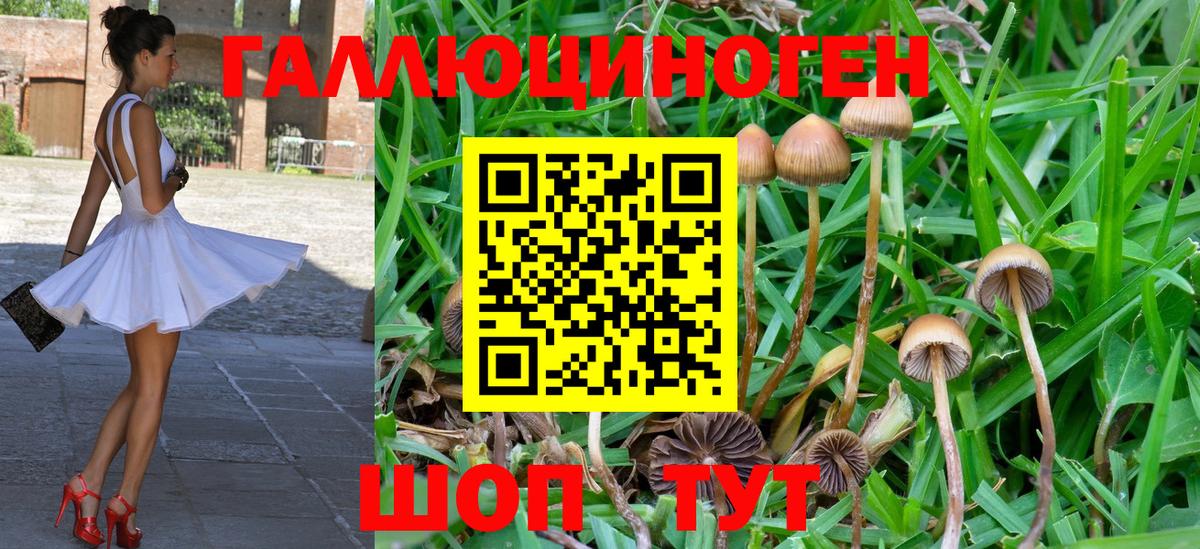 Галлюциногенные грибы Magic Shrooms Светлоград